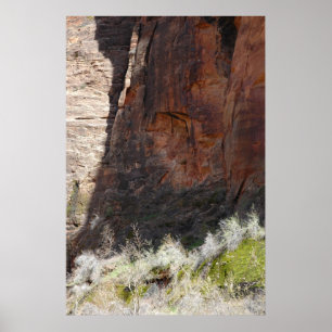 Zion Canyon Poster