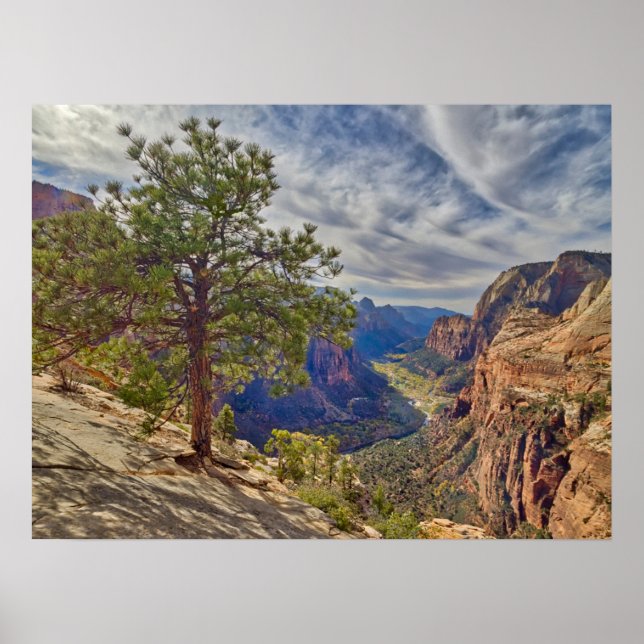 Zion Canyon View from Angels Landing Poster (Front)