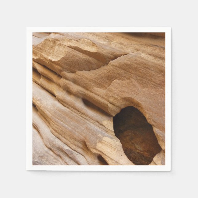 Zion Canyon Wall I Abstract Nature Photography Napkin (Front)