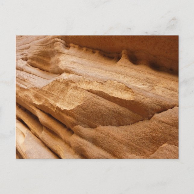 Zion Canyon Wall II Red Rock Abstract Photography Postcard (Front)