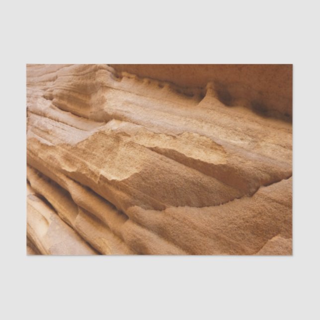 Zion Canyon Wall II Red Rock Abstract Photography Tissue Paper (Front)