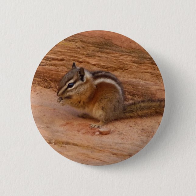 Zion Chipmunk on Red Rocks 6 Cm Round Badge (Front)