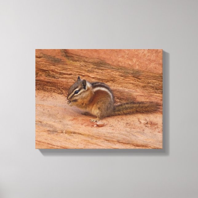 Zion Chipmunk on Red Rocks Canvas Print (Front)