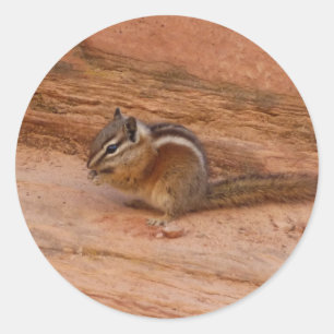 Zion Chipmunk on Red Rocks Classic Round Sticker
