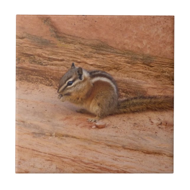 Zion Chipmunk on Red Rocks Tile (Front)