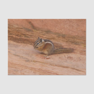 Zion Chipmunk on Red Rocks Tissue Paper