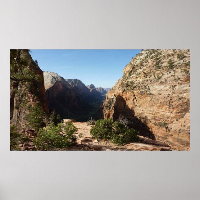 Zion from Angels Landing Trail Zion National Park Poster (Front)