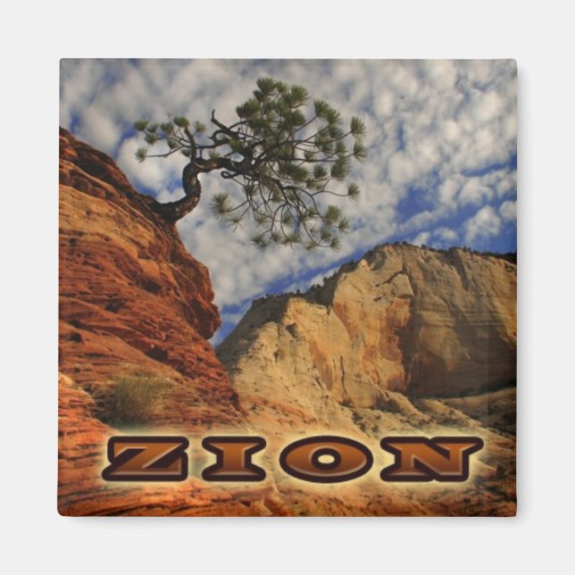 Zion Magnate Magnet (Front)
