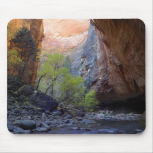 Zion Narrows Mouse Mat