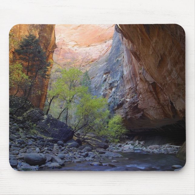 Zion Narrows Mouse Mat (Front)