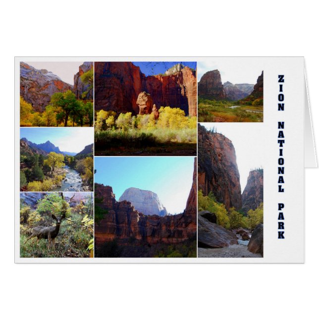 Zion National Park Collage Card (Front Horizontal)