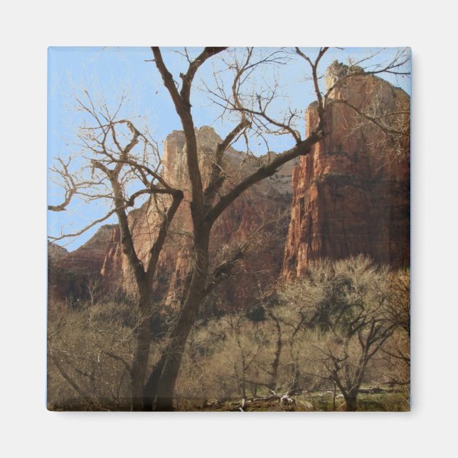 Zion National Park Magnet (Front)
