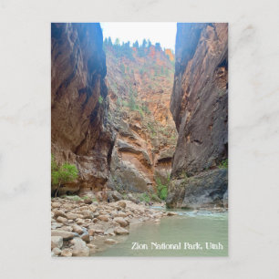 Zion National Park Postcard