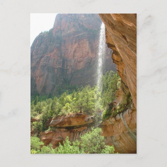 Zion National Park Postcard (Front)