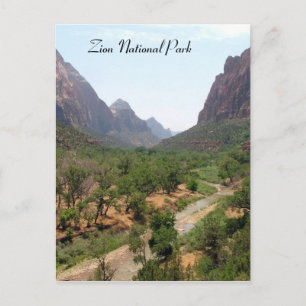 Zion National Park Postcard
