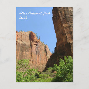 Zion National Park Postcard