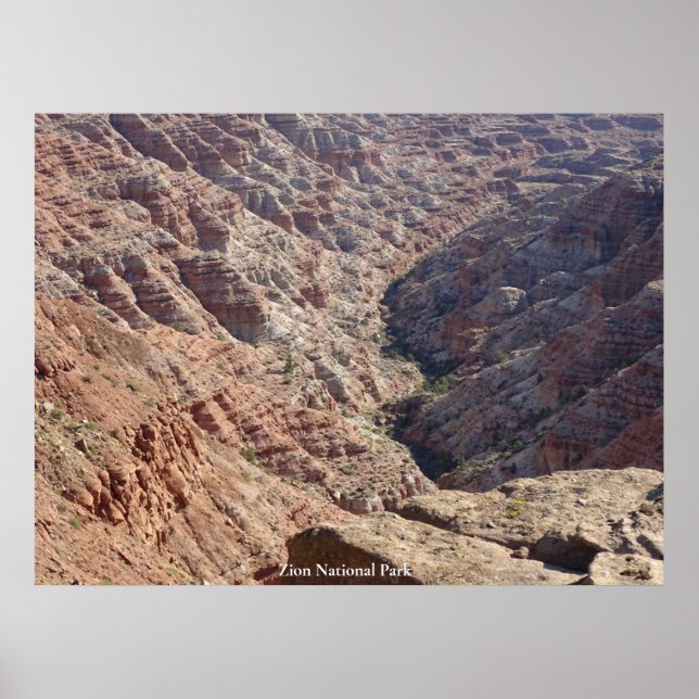 Zion National Park Poster (Front)