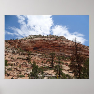 Zion National Park Poster