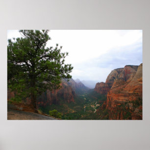 zion national park poster