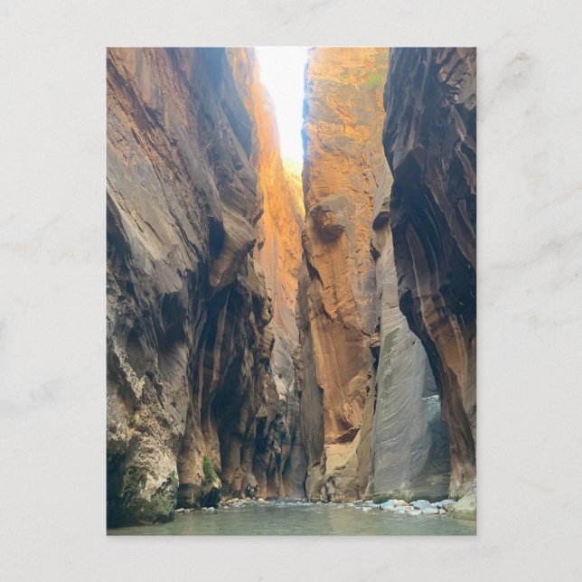 Zion National Park: The Narrows Postcard (Front)