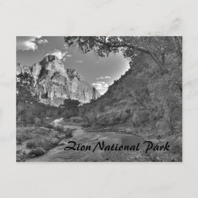 Zion National Park, UT Postcard (Front)