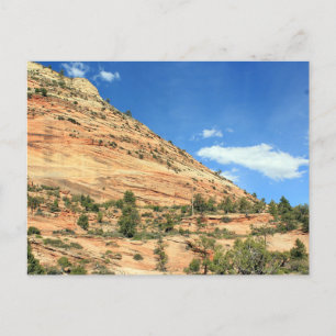 Zion National Park, Utah Canyon View Postcard