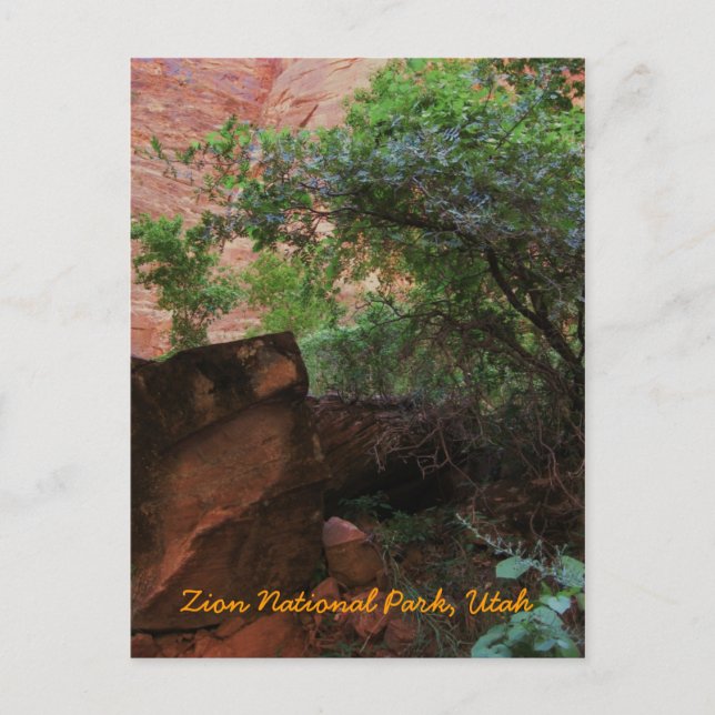 Zion National Park, Utah Postcard (Front)