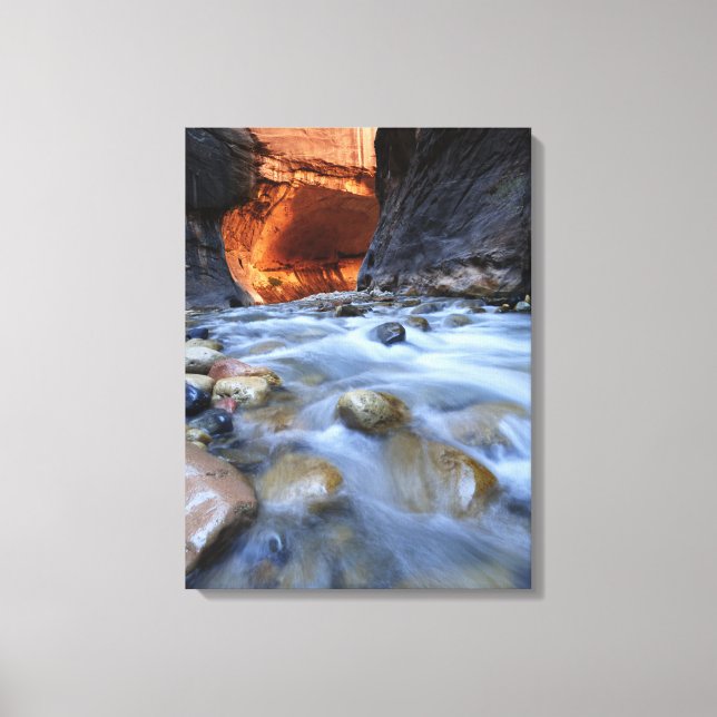 Zion National Park Utah the Narrows Fine Art Photo Canvas Print (Front)