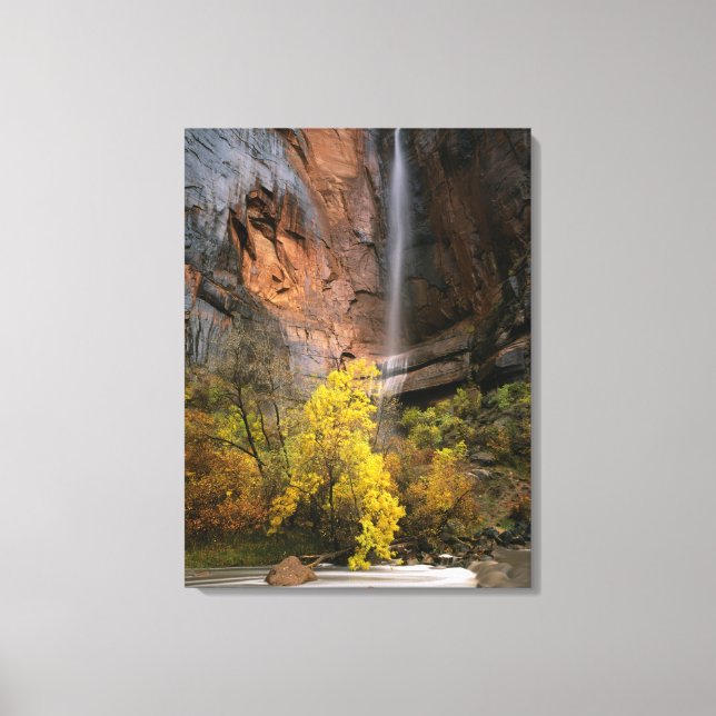 Zion National Park, Utah. USA. Ephemeral Canvas Print (Front)