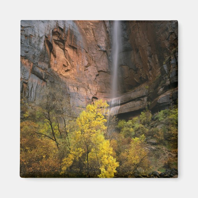 Zion National Park, Utah. USA. Ephemeral Magnet (Front)