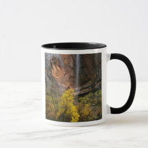 Zion National Park, Utah. USA. Ephemeral Mug