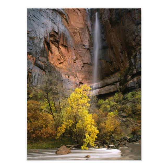 Zion National Park, Utah. USA. Ephemeral Photo Print (Front)