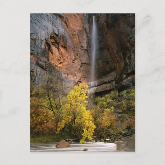 Zion National Park, Utah. USA. Ephemeral Postcard (Front)