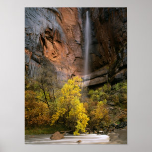 Zion National Park, Utah. USA. Ephemeral Poster