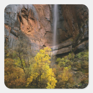 Zion National Park, Utah. USA. Ephemeral Square Sticker