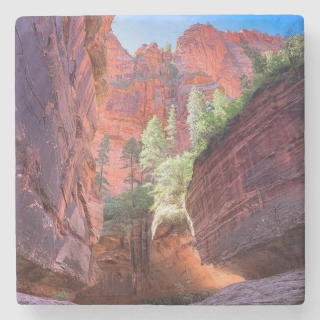 Zion National Park, Utah, USA Stone Coaster (Front)