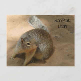 Zion Park, Utah Postcard