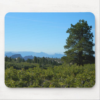 Zion Ponderosa Mouse Mat