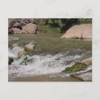 Zion Riverwalk trail Postcard