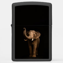 Zippo lighter with Mighty Elephant