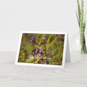 Zippy Bee; Happy Birthday Card