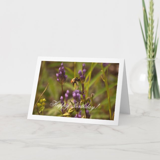 Zippy Bee; Happy Birthday Card (Front)