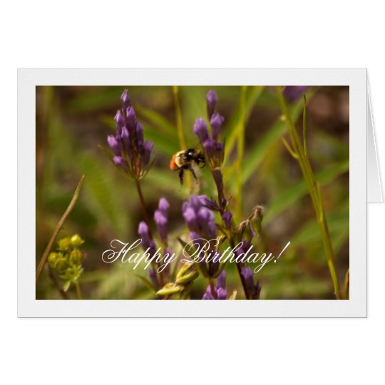 Zippy Bee; Happy Birthday Card