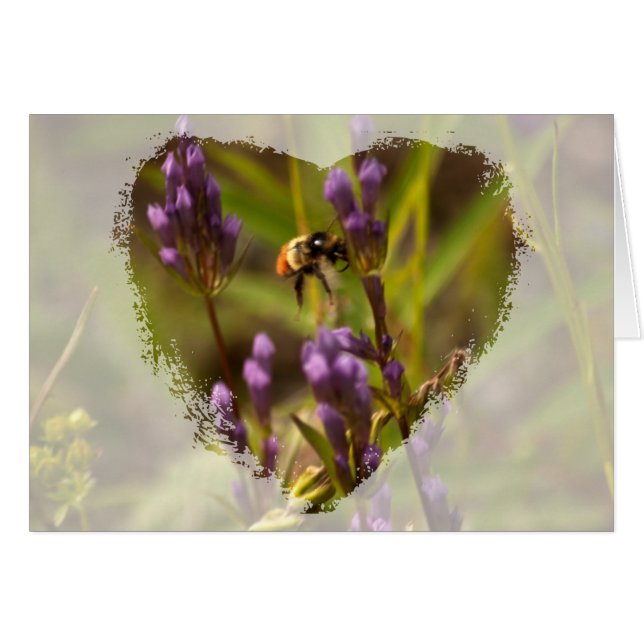 Zippy Bee; No Text (Front Horizontal)