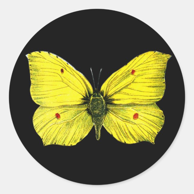 Zitronenfalter Classic Round Sticker (Front)
