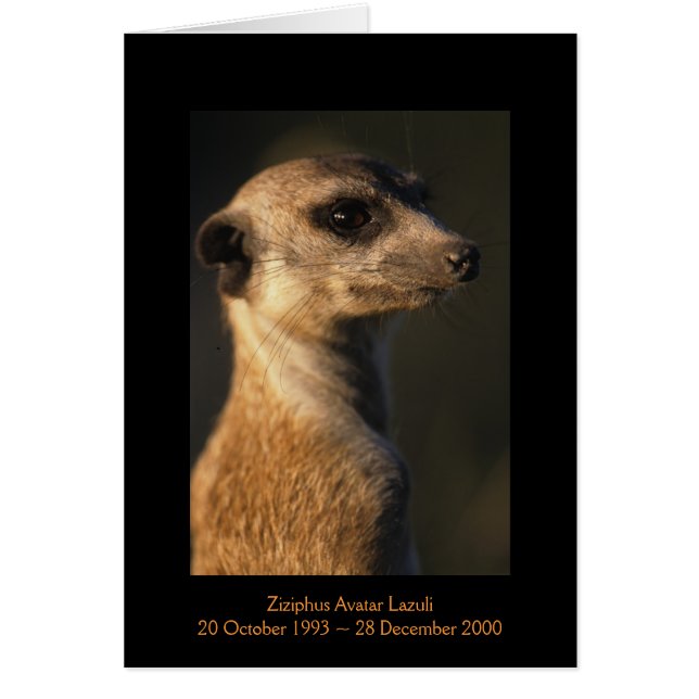 Ziziphus - Legends Card (Front)