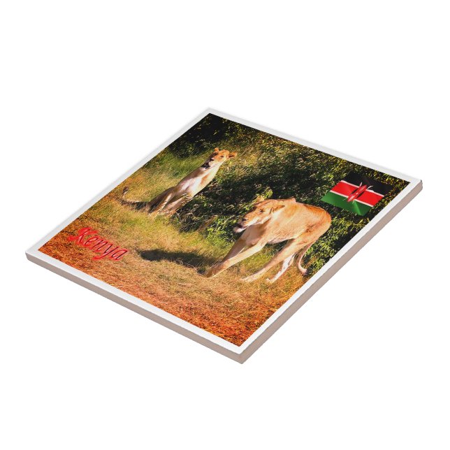 zKE005 KENYA, Lions, Africa, Tile (Side)