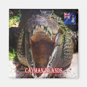 zKY008 CAYMAN ISLANDS, Crocodile at Cayman, Fridge Magnet