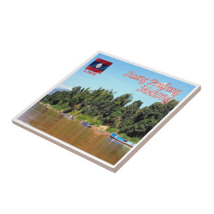 zLA012 MEKONG Luang Prabang, Laos, Asia, Tile