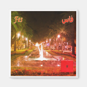 zMA008 FEZ by Night, Morocco, Africa, Fridge Magnet